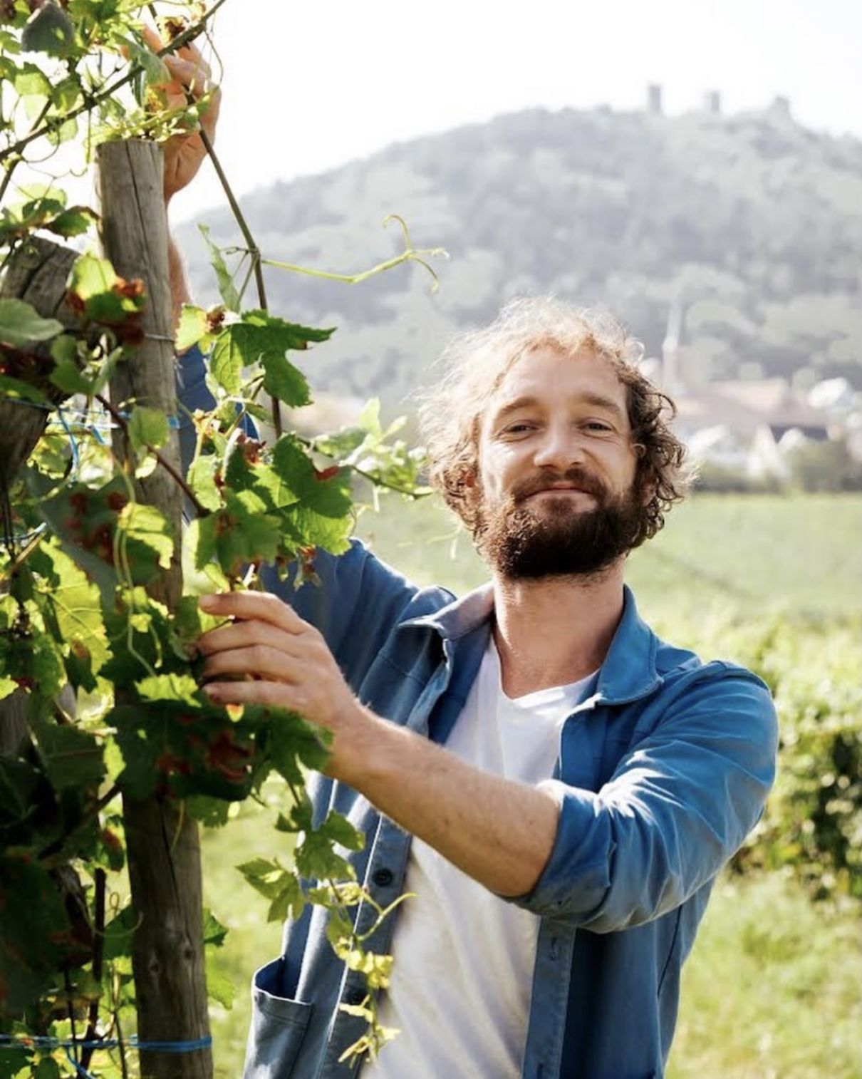 Pierre Weber, jeune vigneron sur les hauteurs d'husseren les châteaux